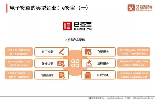 2021年中國企業(yè)數(shù)字化發(fā)展研究報告 網絡技術服務的前景與挑戰(zhàn)